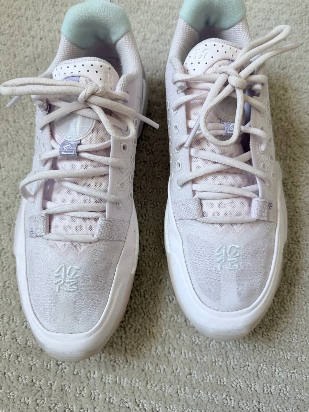Cherry blossom way of wade all city 13 basketball shoe
